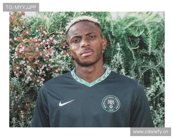 奥斯梅恩生涯荣誉解析:意甲冠军与金靴荣誉的真实含金量 奥斯梅恩生涯荣誉解析:意甲冠军与金靴荣誉的真实含金量